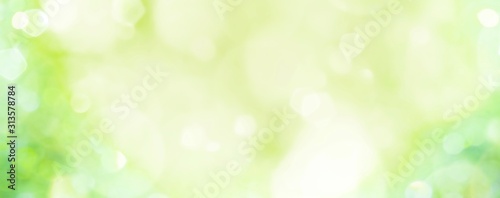 Fotografía Spring background - abstract banner - green blurred bokeh lights -