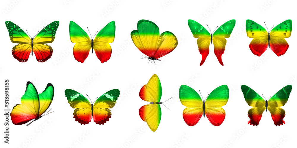 Butterfly Set Isolated On A White Background. with wings of yellow ...