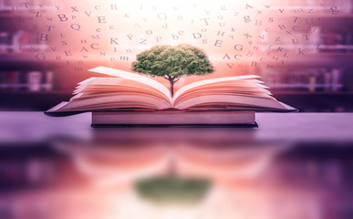 Poster - Imagine opening an old book blurred with magic power on the table and the English alphabet floating above the book with magic light as a beautiful background design.