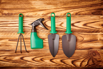 Wall Mural - Gardening tools on wooden background flat lay