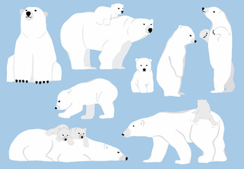 simple white bear character.vector illustration character doodle cartoon