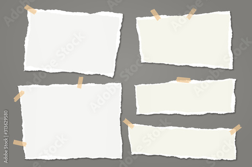 Fotografía Set of torn white note, notebook paper strips and pieces with soft shadow stuck with sticky tape on dark grey background