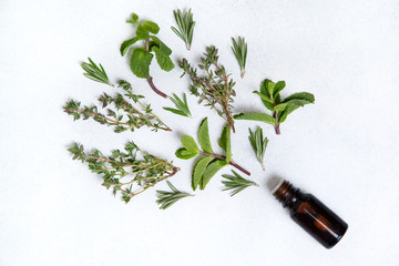 Wall Mural -  essential oil with different herbs