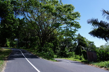 The intersection branches into two paths. The asphalt road in the quiet countryside far from the settlement.