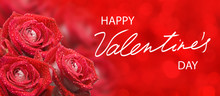 Happy Valentines Day With Beautiful Festive Flowers On Colorful Background