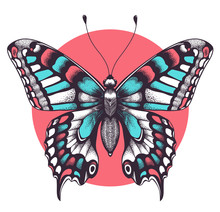 Beautiful Butterfly Tattoo. Beauty Symbol