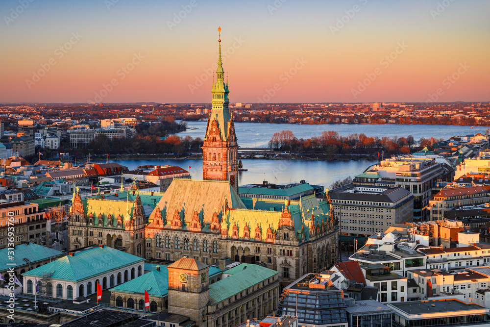 City Hall of Hamburg, Germany - obrazy, fototapety, plakaty 