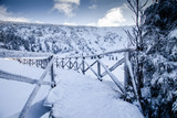 Fototapeta Pomosty - zimowy pomost pokryty śniegiem