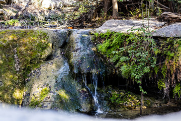 waterfall in forest