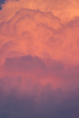 powerful sunset orange cumulonimbus cloud close up skyscape.yellow and red mushroom vertical cloud.powerful water vapor carried by upwards air currents.rain cloud