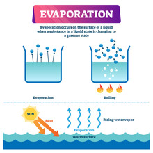 Evaporation Vector Illustration. Labeled Liquid To Gas State Process Scheme