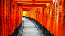 Walking Past Torii Gates And Lantern At Fushimi Inari Shrine