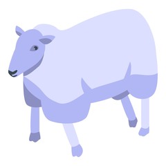 Canvas Print - Cute sheep icon. Isometric of cute sheep vector icon for web design isolated on white background