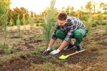 Handsome male gardener working outdoors