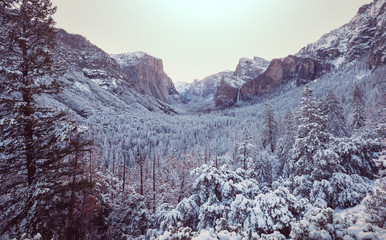 Canvas Print - Winter in Yosemite