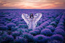 Beautiful Female With Wings In Lavender