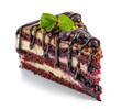 piece of chocolate and blackcurrant cake