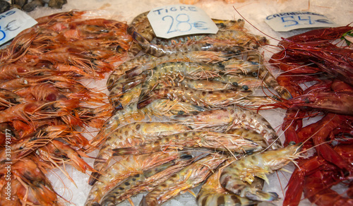 Fotomural Langostinos tigre / Tiger prawns