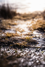 Close Up Of Wet Muddy Ground With The Sun Reflecting Off The Water During A Bright Sunrise In The English Countryside
