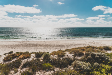 Wall Mural - detail of Cottesloe Beach, one of the most iconic beaches near Perth