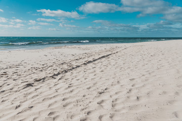 Wall Mural - detail of Cottesloe Beach, one of the most iconic beaches near Perth