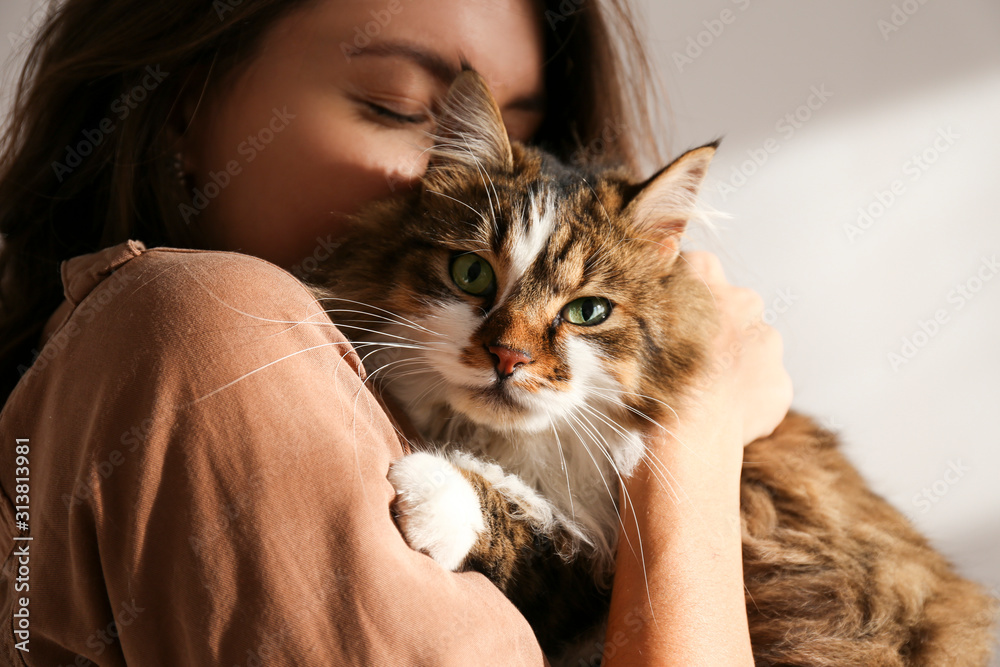 Portrait of young woman holding cute siberian cat with green eyes. Female hugging her cute long hair kitty. Background, copy space, close up. Adorable domestic pet concept. - obrazy, fototapety, plakaty 