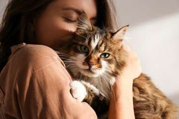 portrait of young woman holding cute siberian cat with green eyes. female hugging her cute long hair