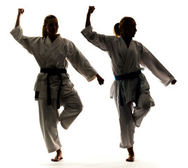 Wall Mural - Two girls in kimono are training karate