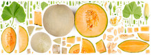 Cantaloupe Melon Collection Abstract