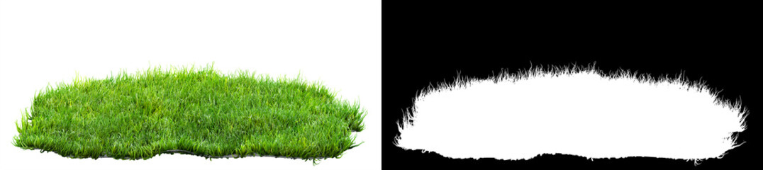 green grass turf isolated on white background with alpha mask for easy isolation 3D illustration
