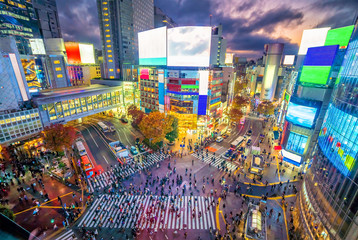 Wall Mural - Shibuya Crossing from top view at twilight in Tokyo