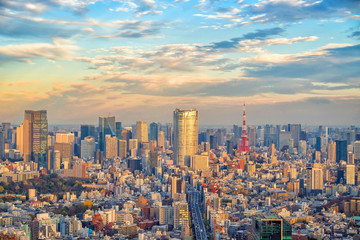 Wall Mural - Top view of Tokyo city skyline in Japan