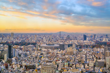 Wall Mural - Top view of Tokyo city skyline at sunset