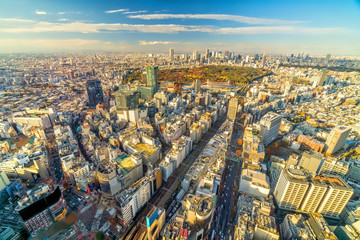 Wall Mural - Top view of Tokyo city skyline at sunset