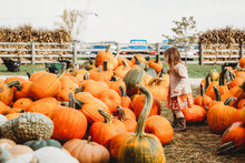 Young Girl At A Pumpkin Farm