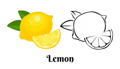 Wall Mural - Lemon fruit icon set isolated on white background. Vector color illustration of yellow citrus with  green leaf and black and white  outline.