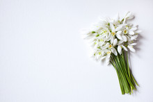 Spring Flowers Snowdrops In A Bouquet On A White Canvas