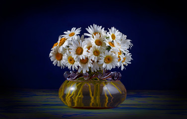 Daisy bouquet blue background