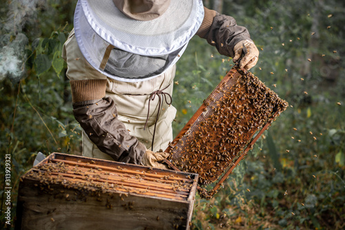 Fotografía Apicultor sosteniendo marco con abejas
