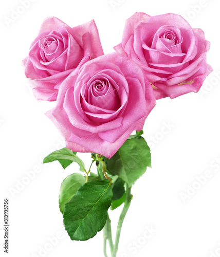 Cuadros en Lienzo Beautiful roses bunch isolated on white background