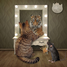 The Beige Cat Is Looking In The Mirror At Home. He Sees The Tiger In His Reflection. His Rat Gives Him A Royal Crown.