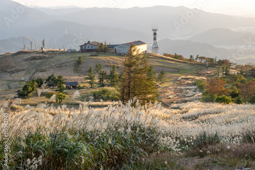Cuadros en Lienzo Ibuki Hiking Trail at Sunset, Tall grass swaying in warm autumn wind