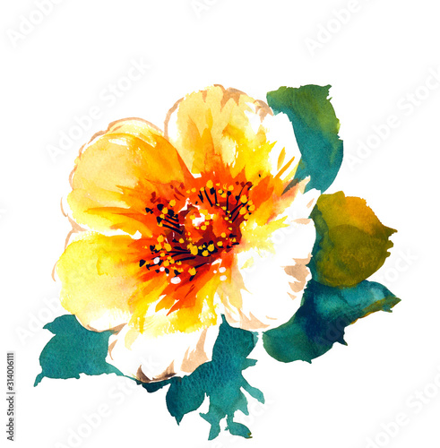 Cherry Blossoms After Winter Isolated On A White Background Stock Illustration Adobe Stock