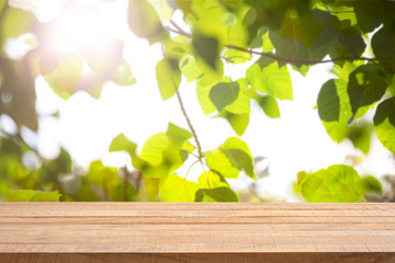 Wall Mural - Empty wooden table with Defocus nature green bokeh, abstract nature background.