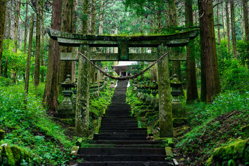 Sticker - The shrines in Kyushu.