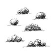 Set of shrubbery, hand drawn sketch collection, graphic template