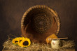 Open beehive and sunflowers