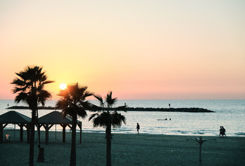 peoples silhouettes and palms at the sea and the sunset along the beach in Tel Aviv, ISRAEL.