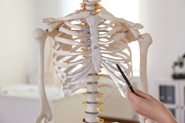 orthopedist pointing on human skeleton model in clinic, closeup
