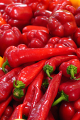 Wall Mural - red peppers on display at the market. selective focus